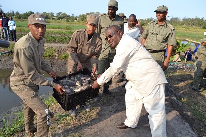 Policiamento Ambiental